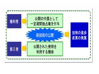 平成21年度知的財産権制度説明会(初心者向け)テキスト「知的財産権制度入門」より